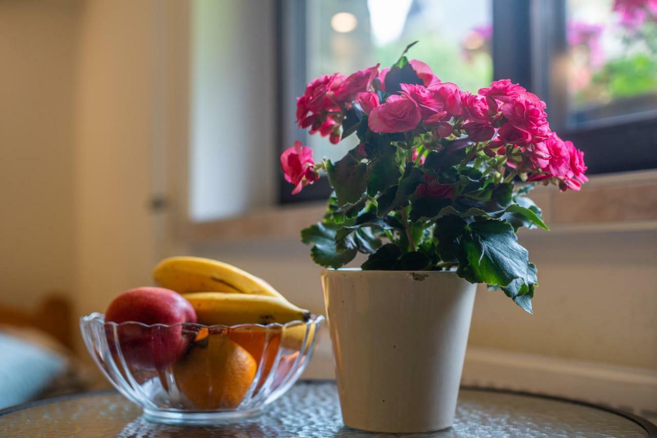 זקופאנה Apartament Ewa מראה חיצוני תמונה