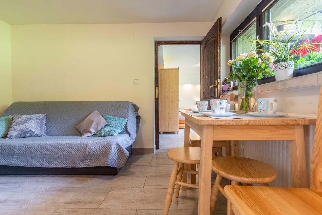 זקופאנה Apartament Ewa מראה חיצוני תמונה